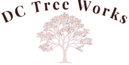 DC Tree Works 