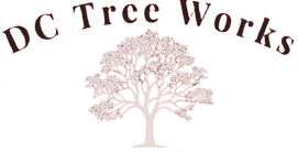 DC Tree Works 