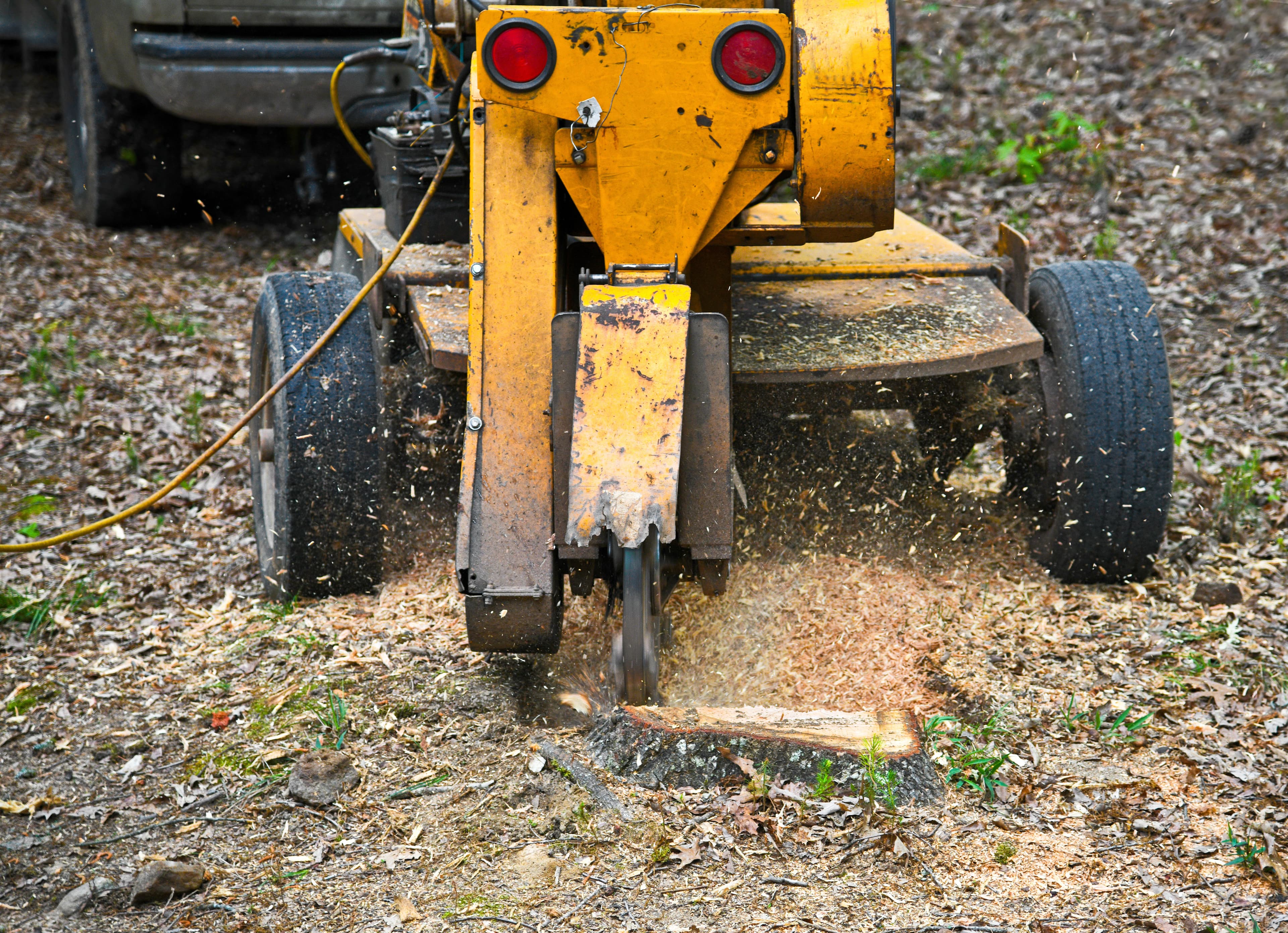 Stump Grinding image