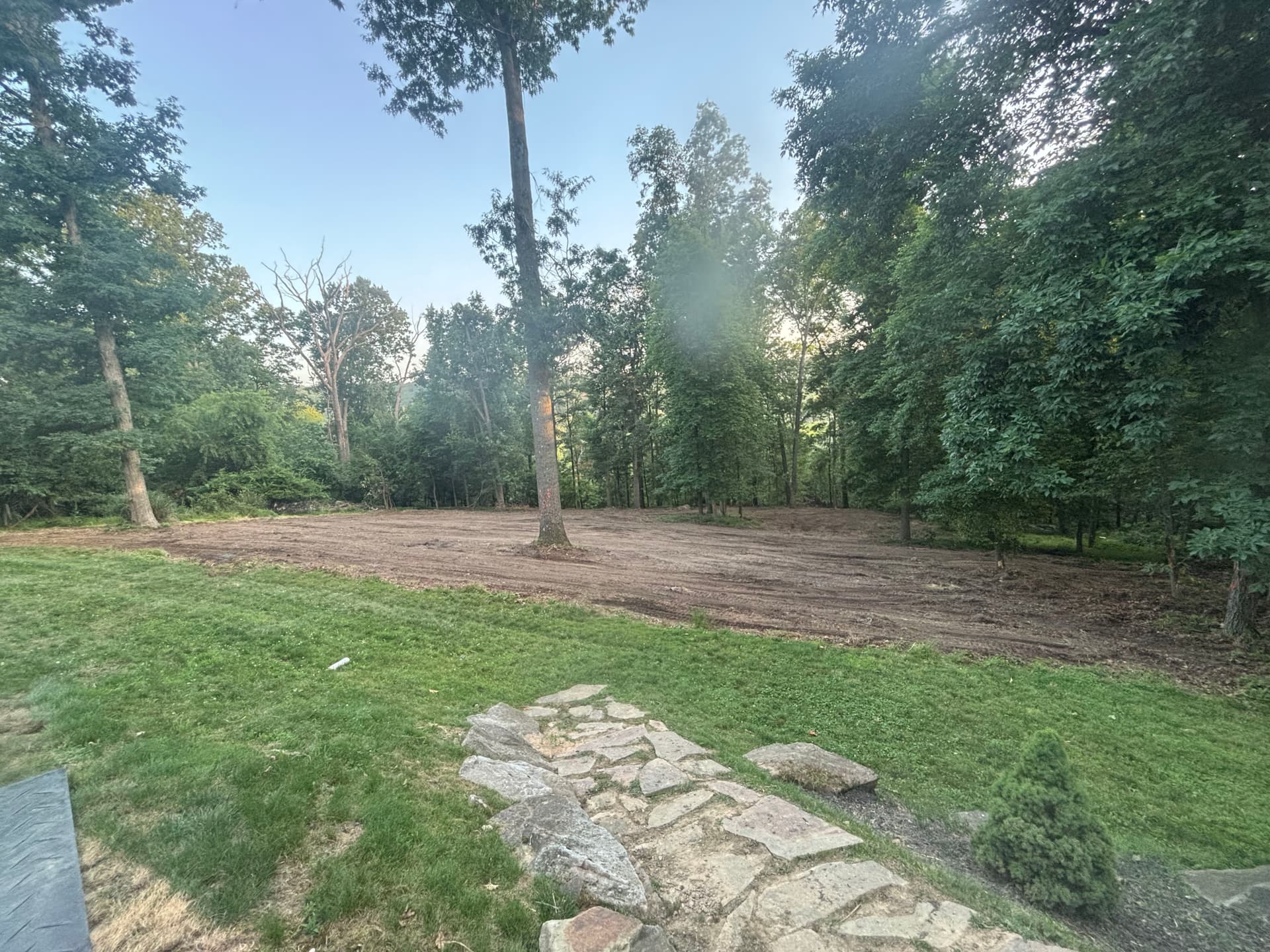Gallery photos for From Wooded Backyard to Open Usable Space in McCandless: Image #5