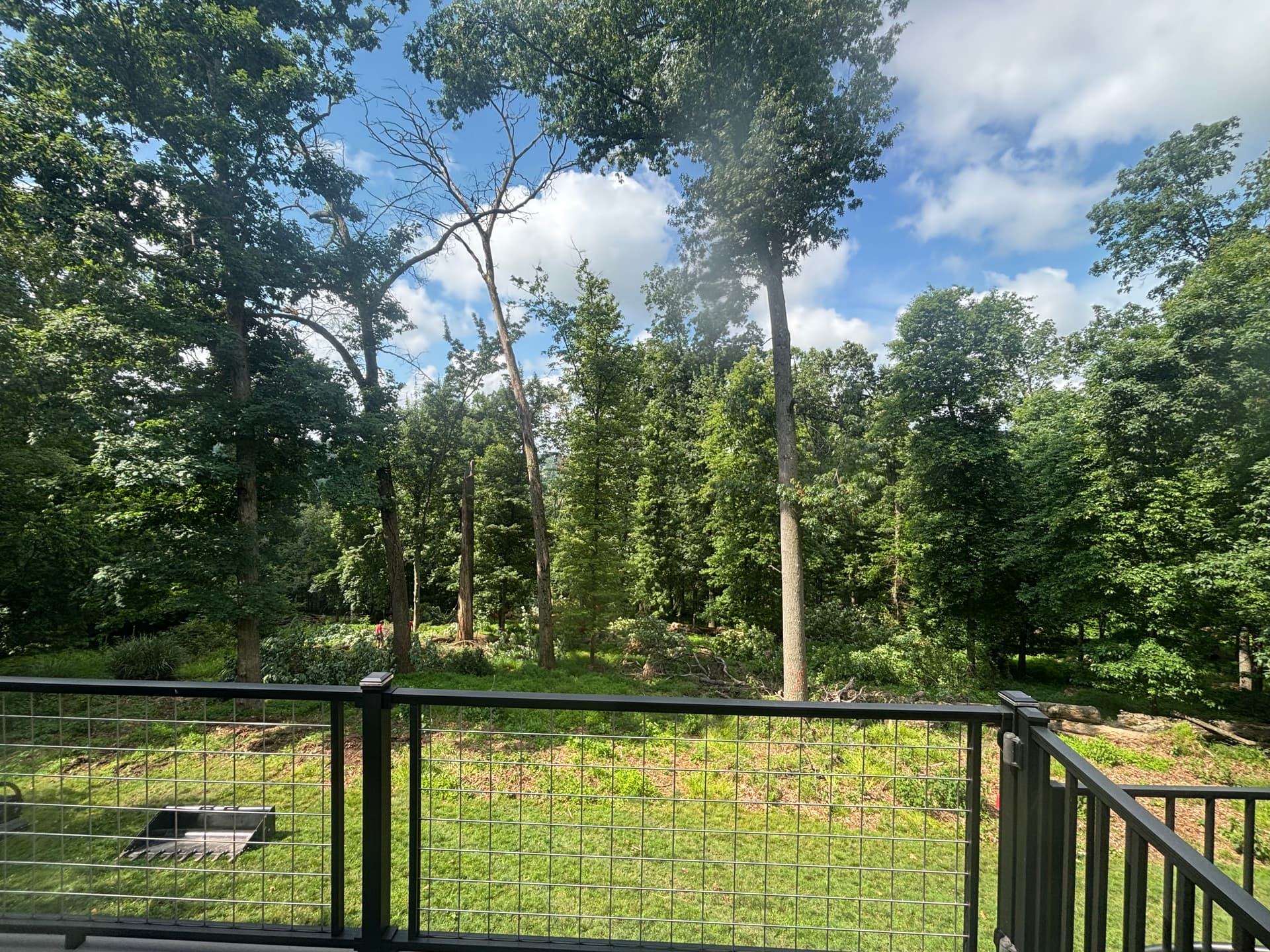Gallery photos for From Wooded Backyard to Open Usable Space in McCandless: Image #1