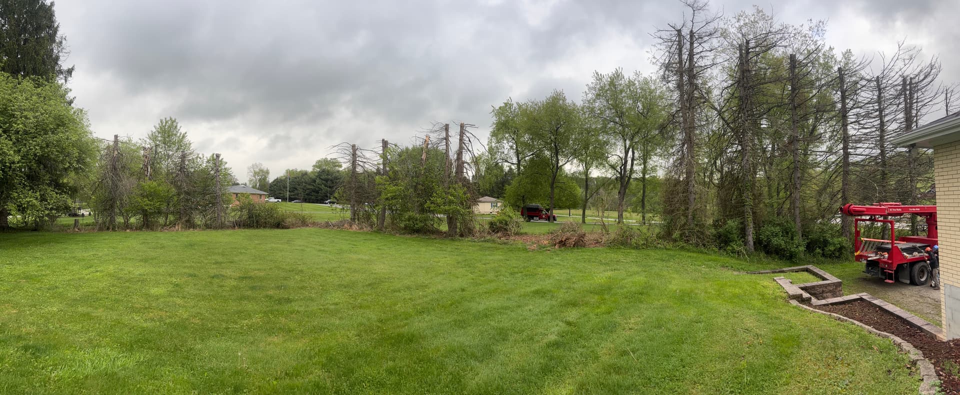 Gallery photos for Pine Row Removal Opens Up Space for a New Driveway: Image #1