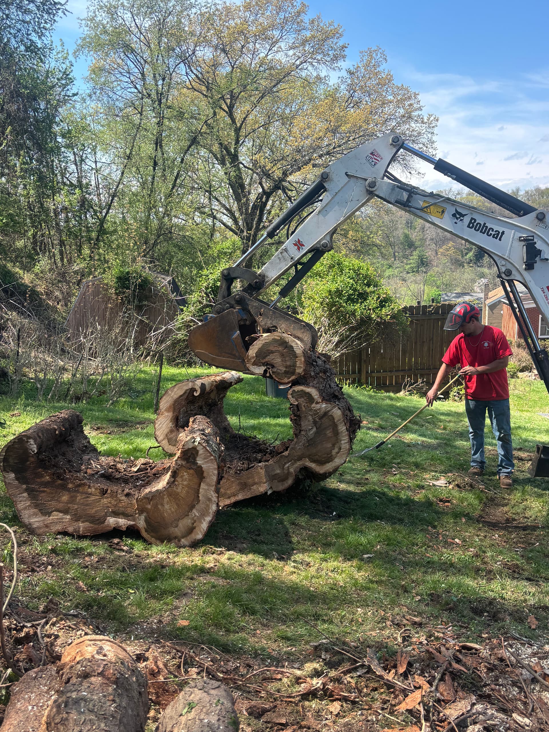 Gallery photos for Hollow Silver Maple Removal in White Oak: Image #3