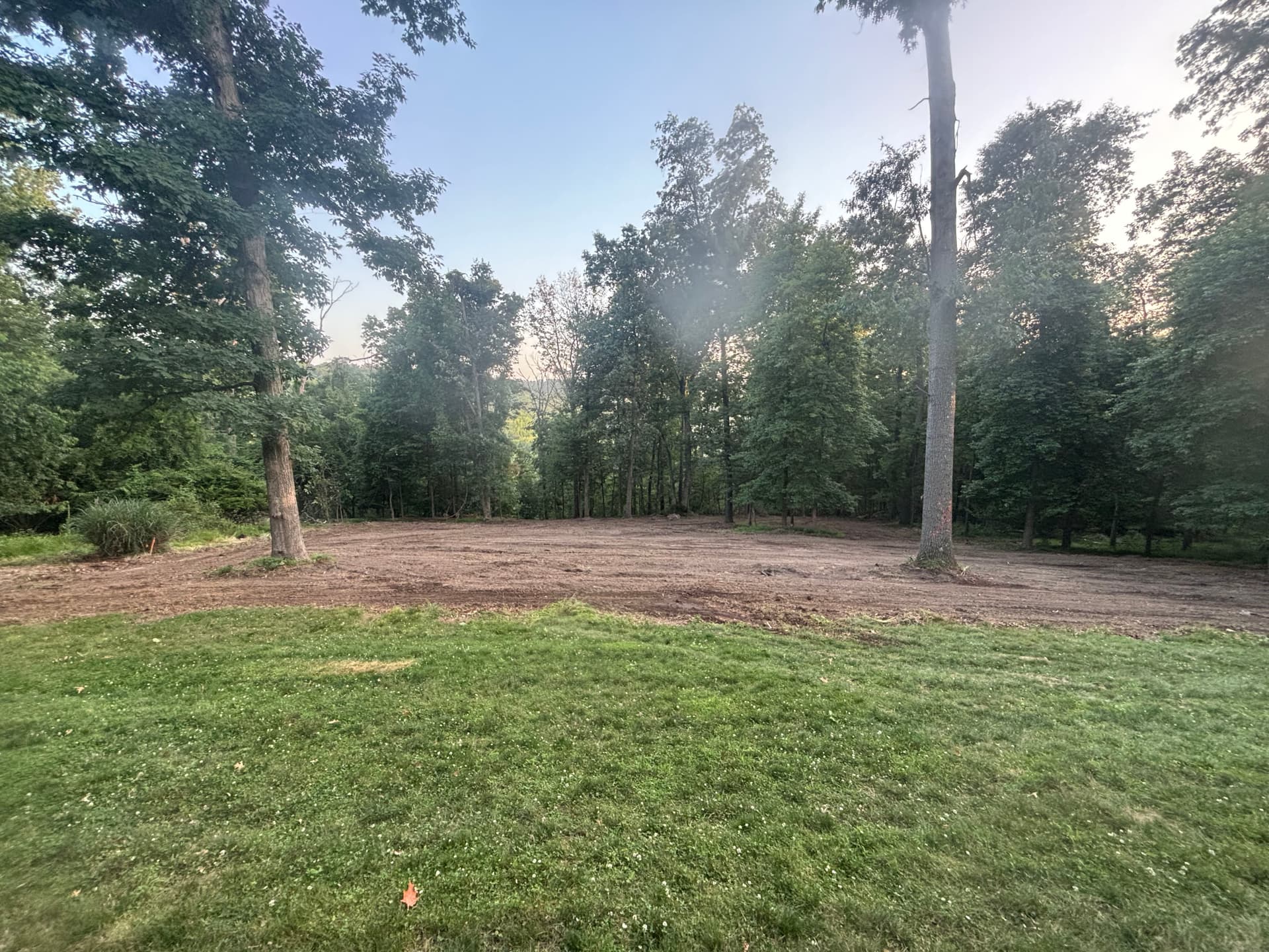 Gallery photos for From Wooded Backyard to Open Usable Space in McCandless: Image #4