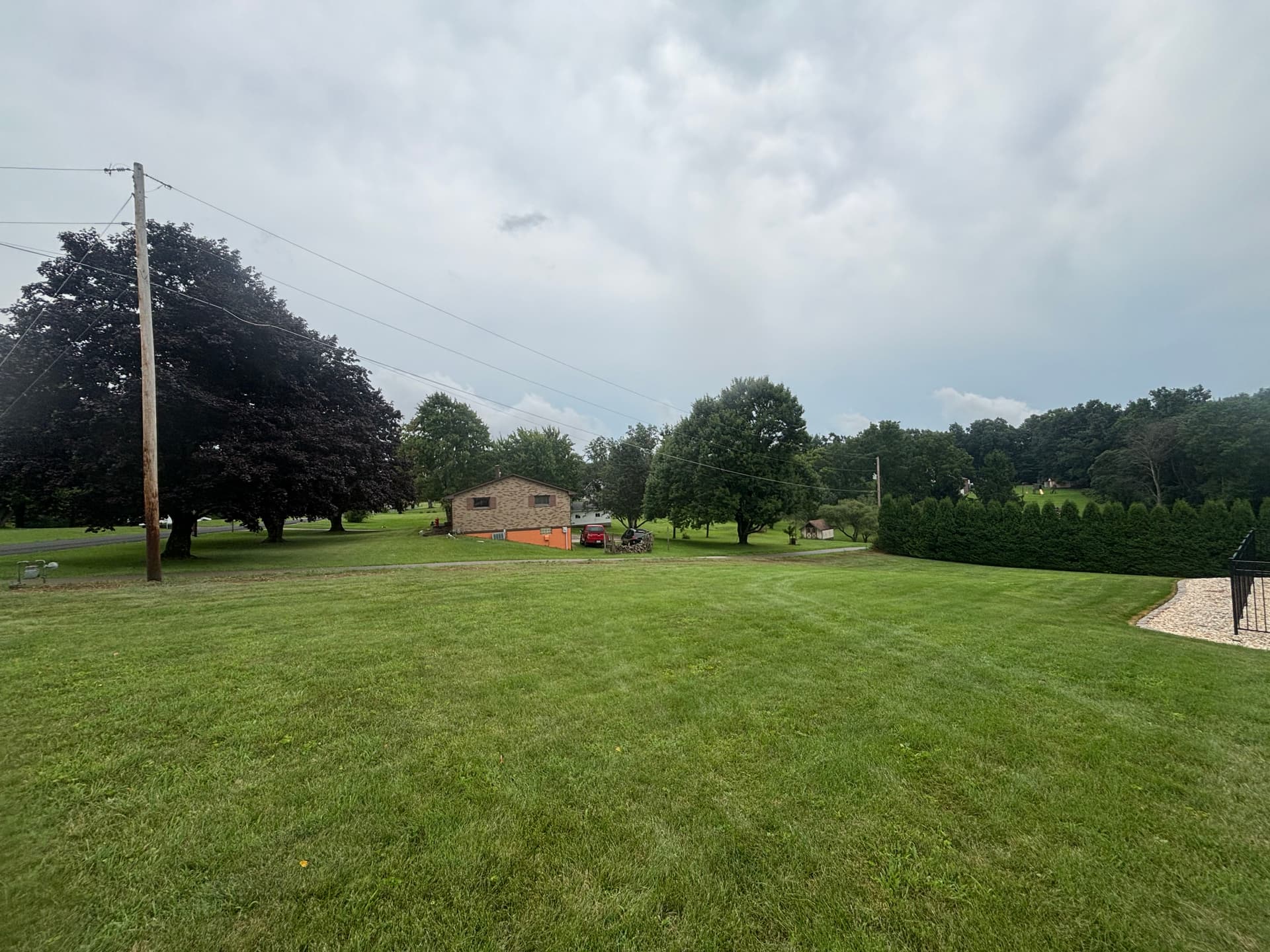Gallery photos for 22 Arborvitae Removed and Stumps Ground Out in 6 Hours: Image #2