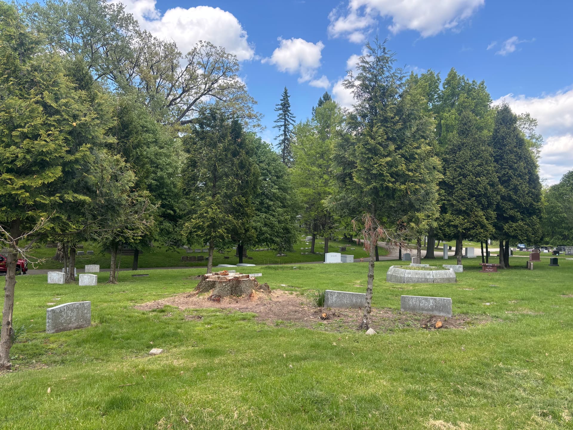 Gallery photos for Storm-Damaged Oak Removed at Homewood Cemetery in Shady Side: Image #3