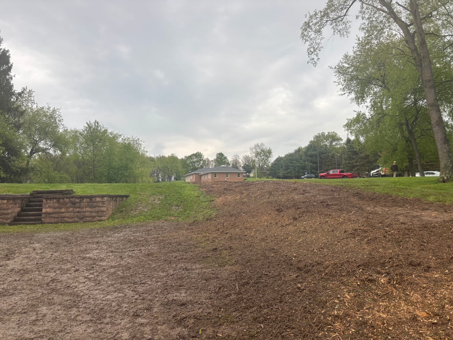 Gallery photos for Pine Row Removal Opens Up Space for a New Driveway: Image #3