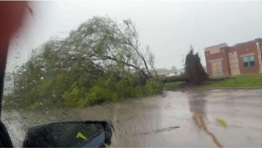 Fallen tree in flooded street during severe storm conditions, water on the road.