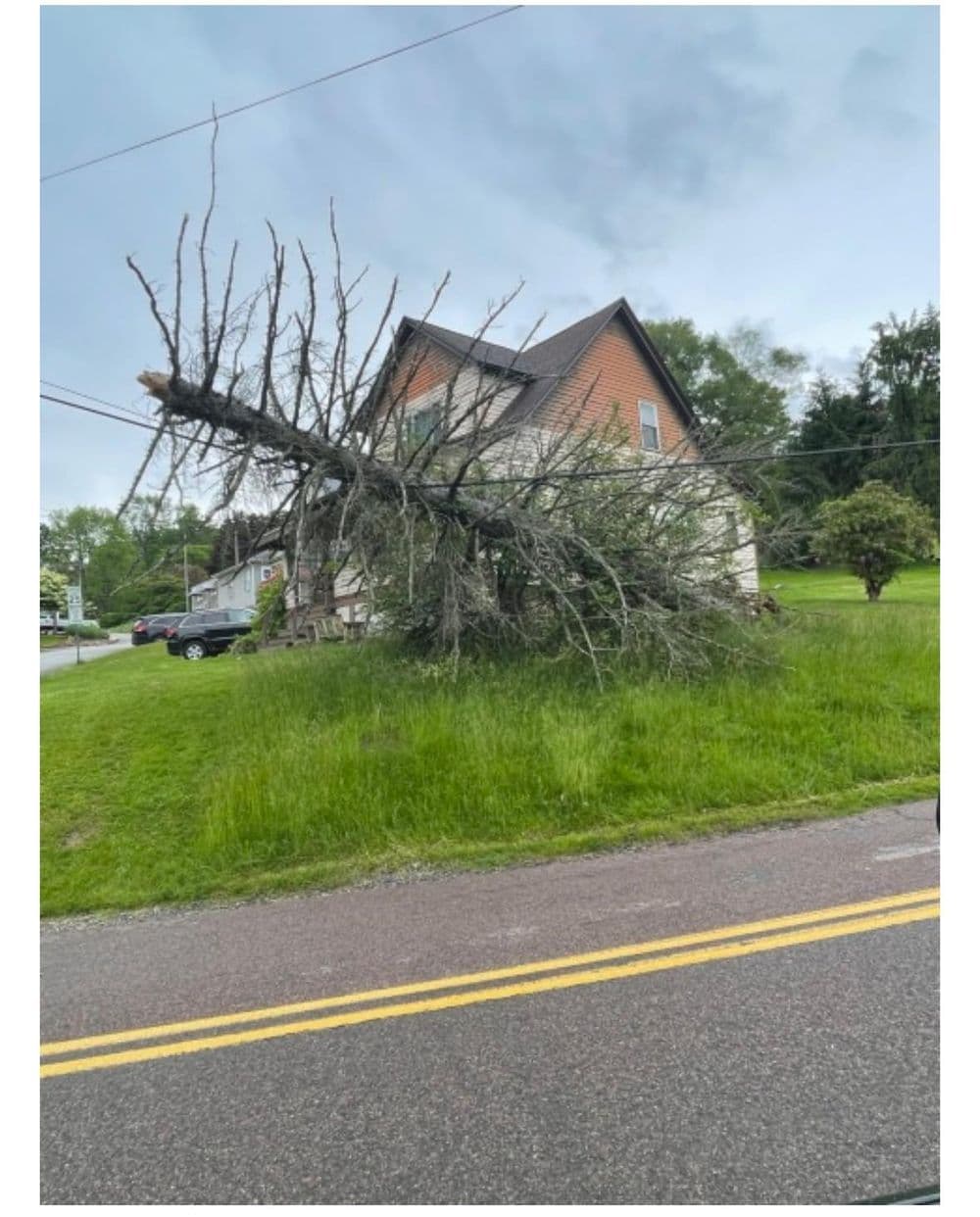 Fallen tree leaning against a house, showcasing storm damage and nearby grassy area.