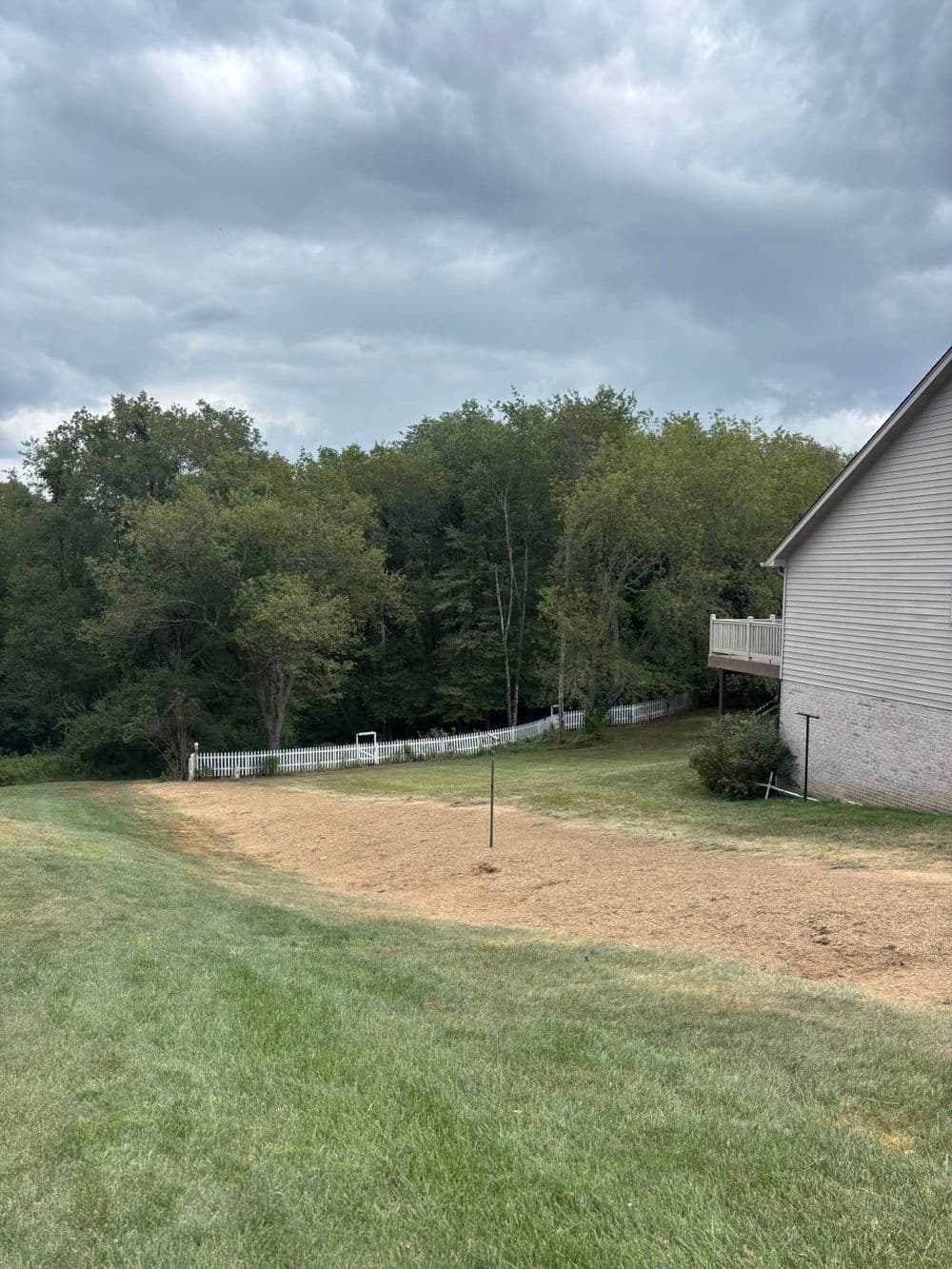 Newly cleared backyard space ready for landscaping, with trees and a house in the background.