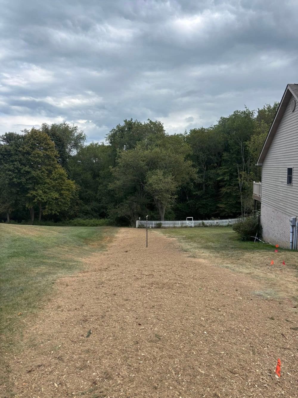 Cleared pathway leading to wooded area behind a house on a cloudy day.