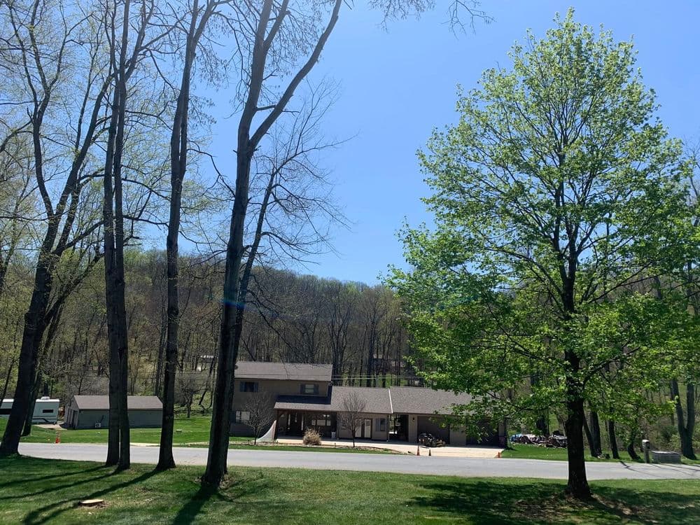 Modern home surrounded by tall trees and greenery on a sunny day. Clear blue sky above.