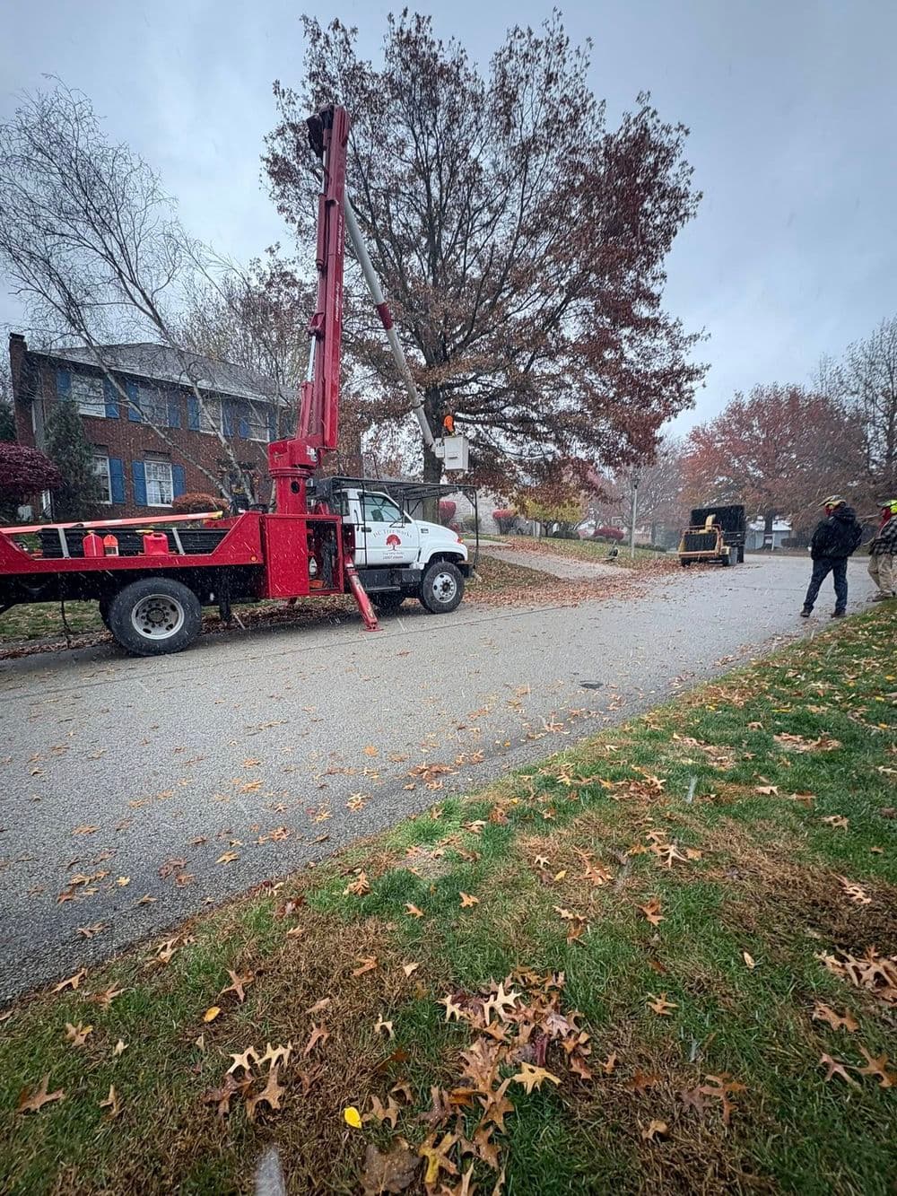 Tree trimming operation in progress with a lift truck on a residential street.