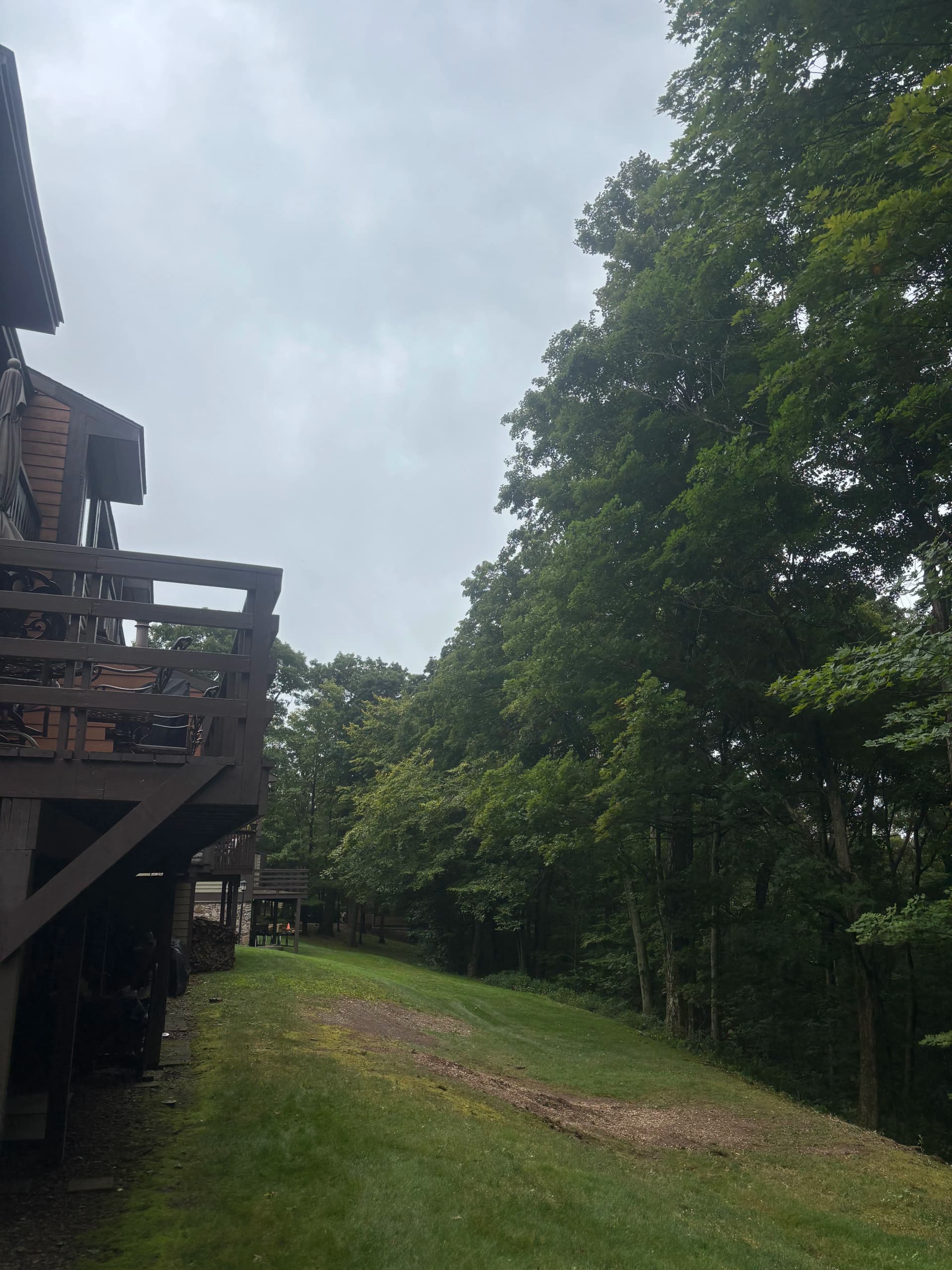 Gallery photos for Tree Pruning and Removal Across Seven Springs and Swiss Mountain: Image #1